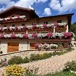 Boutique Hotel Il Riccio - Adults Only