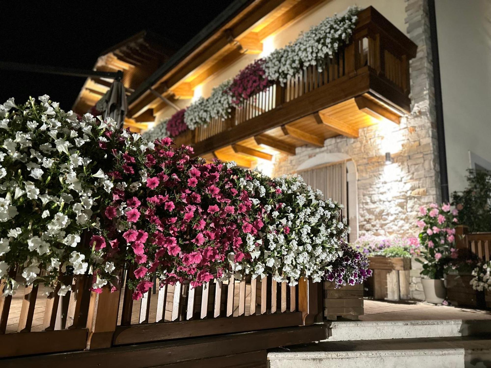 Hotel Boutique Il Riccio - Adults Only